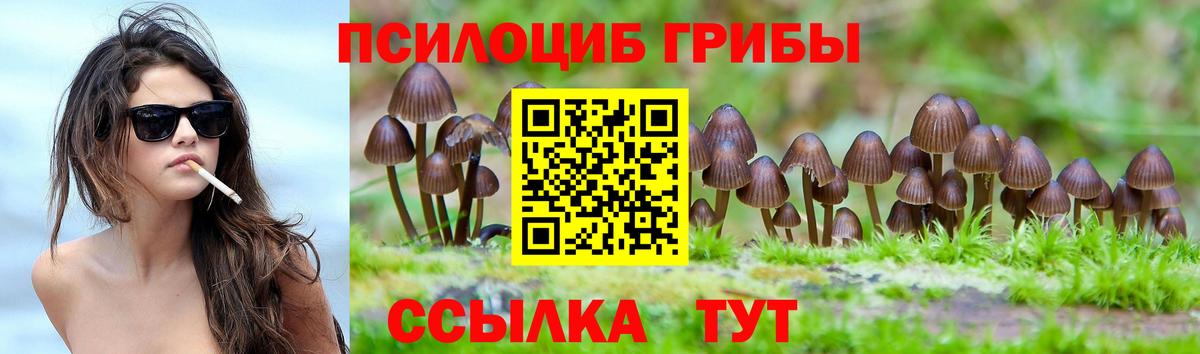 Омск  Псилоцибиновые грибы MAGIC MUSHROOMS  Вход с VPN  Галлюциногенные грибы Magic Shrooms 